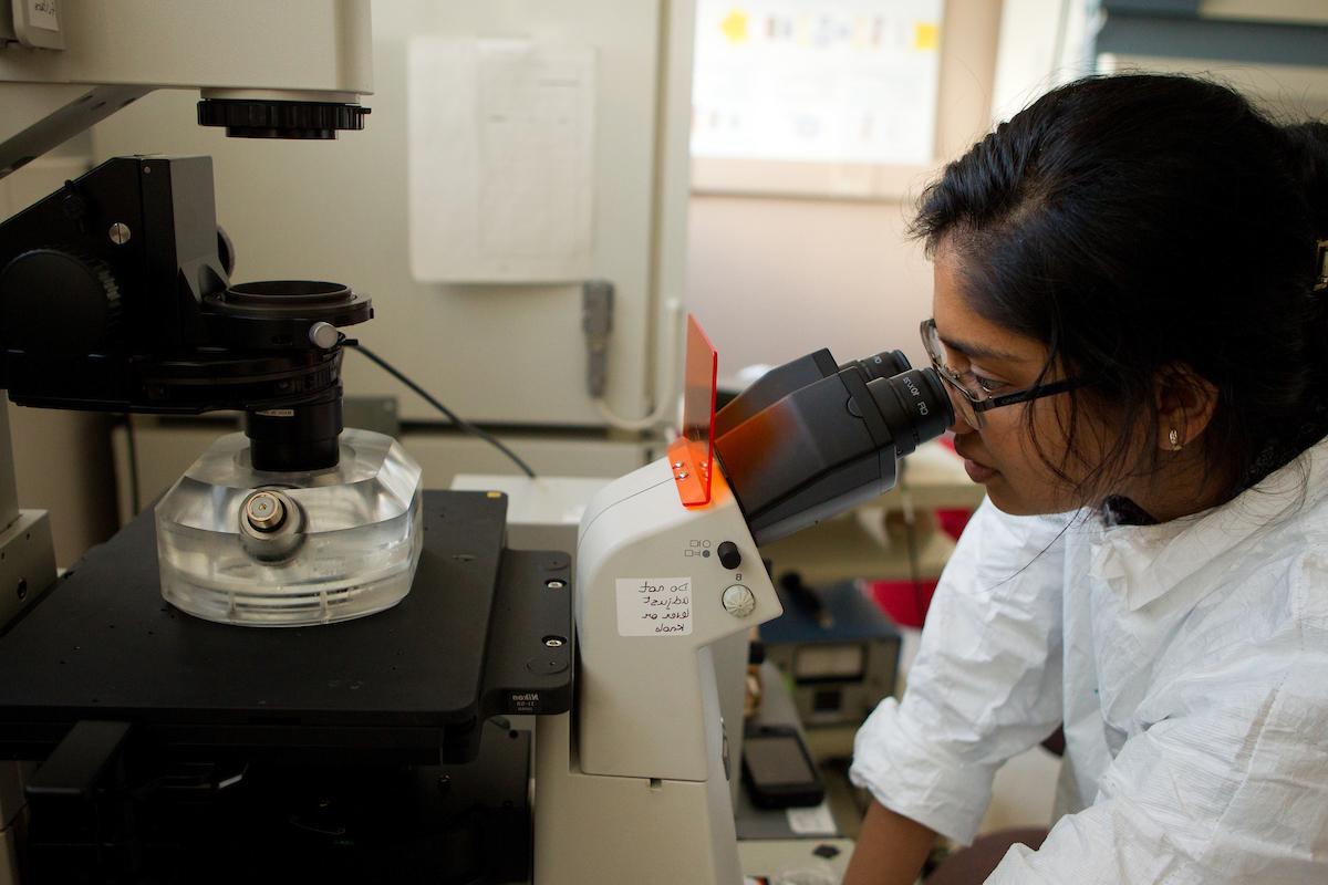 student looking through microscope